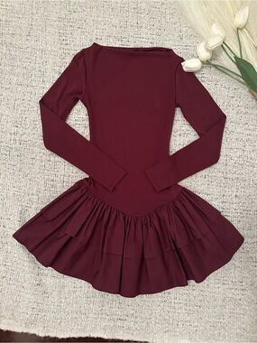 Zara long Sleeve Burgundy mini dress